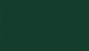 БСП Зеленый лес 2800х1310 U606 (ST9) БСП Зеленый лес 2800х1310 U606 (ST9)