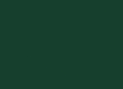 Зеленый лес U606 ST9 (16мм) Зеленый лес U606 ST9 (16мм)