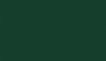 БСП Зеленый лес 2800х1310 U606 (ST9) БСП Зеленый лес 2800х1310 U606 (ST9)
