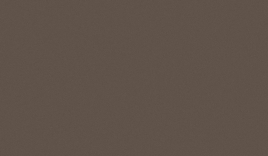 Детали лДСП Трюфель коричневый U748(ST9)