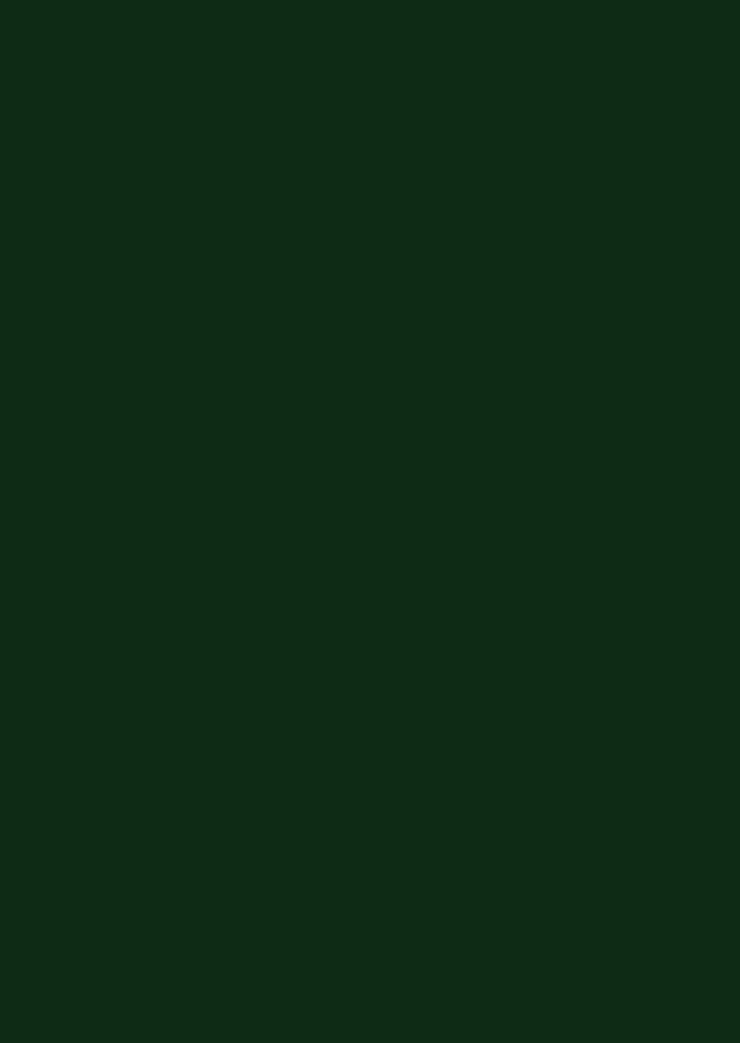 Детали лДСП Зелёный еловый U699 (ST9)